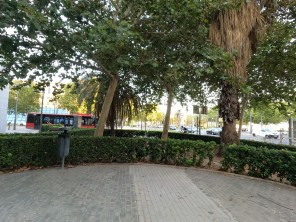Vistas
